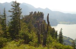 2013-07-13_Regina-F-Rau_Sonnenspitze3 (165).JPG
